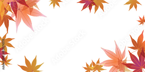 紅葉　葉　秋　背景	