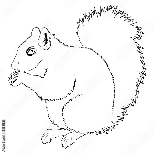 Animals Outline Squirrel