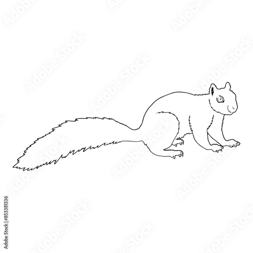 Animals Outline Squirrel