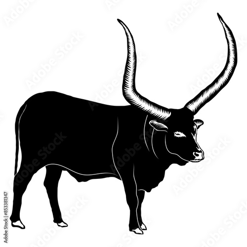 Ankole-Watusi