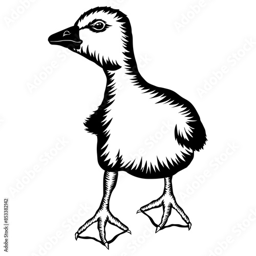 Baby Goose