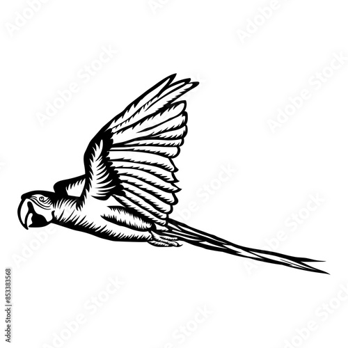 Birds Flying Macaw