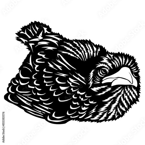 Bird Resting