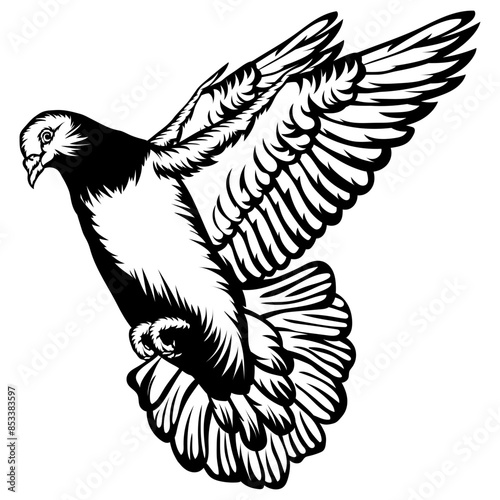Birds Pigeon Flying