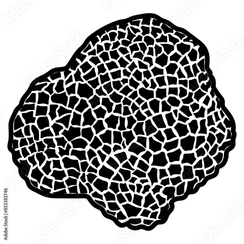 Black Truffle