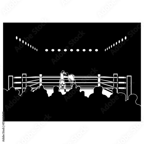 Boxing Style