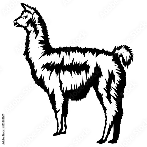 Desert Llama Llama Desert Animals Llama