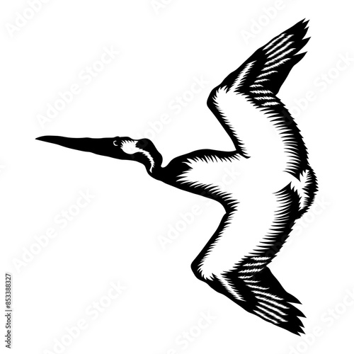 Diving Pelican
