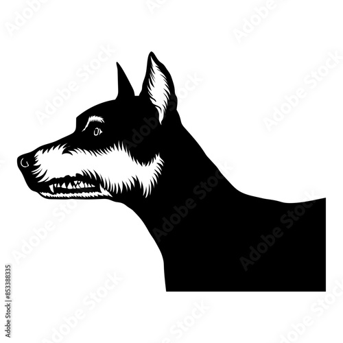 Doberman Dog Angry