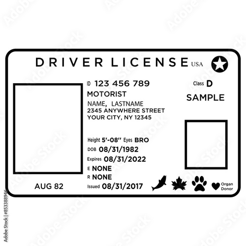 Drivers Licence