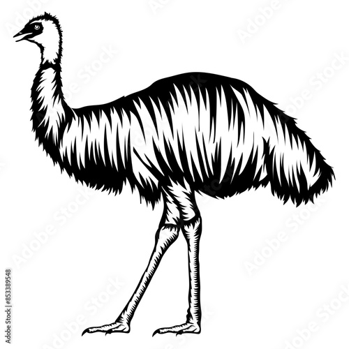 Emu Big