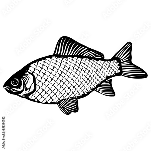 Fish Prussian Carp