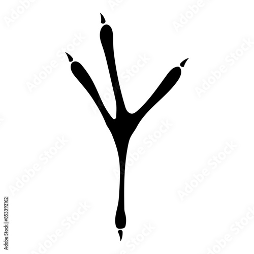 Footprint Heron Stork