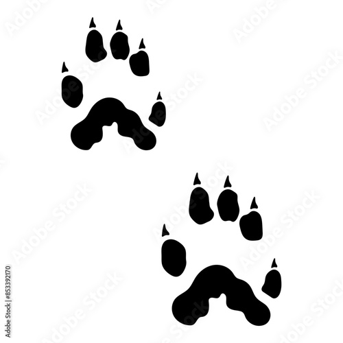 Footprint Marten Paw