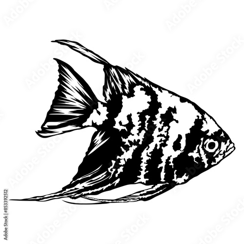 Freshwater Angelfish Fish Fishing Angelfish