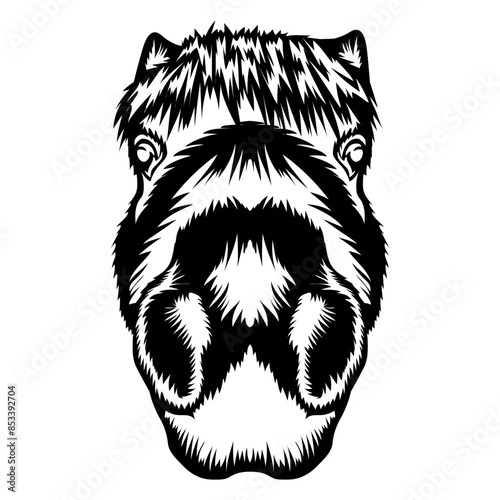 Funny Pony Face