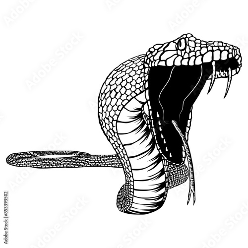 Green Attacking Snake