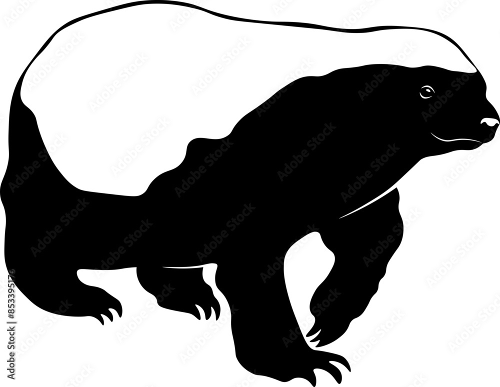Honey Badger Honey Badger