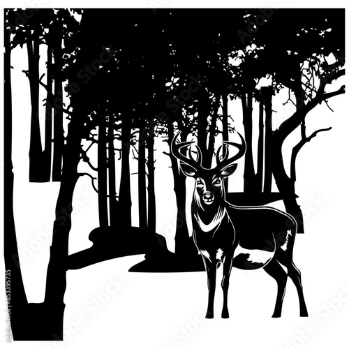 Hunting Collection Deer In Forest