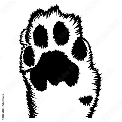 Lion Paw Bottom