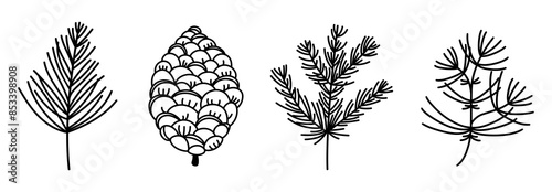 Coniferous branches and cones, vector icon set. Twigs of spruce, pine, cedar, fir. Evergreen forest plant, festive winter trees. Shrub with needles. Hand drawn black and white doodle, botanical sketch