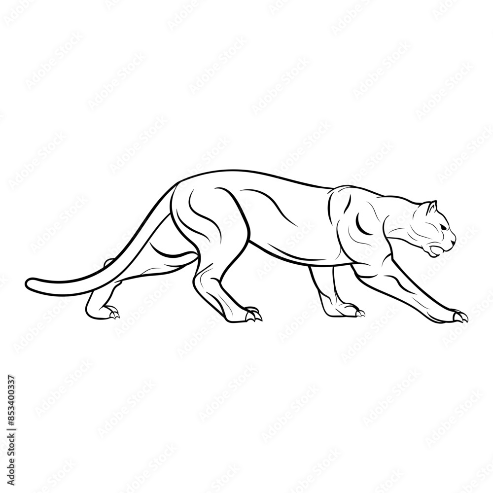 Fototapeta premium Mounatain Lion
