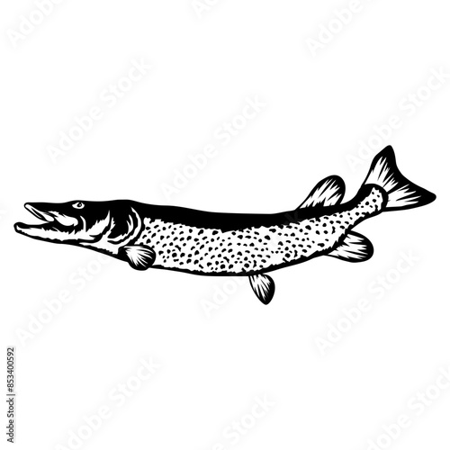 Muskellunge Fish Fishing Muskellunge