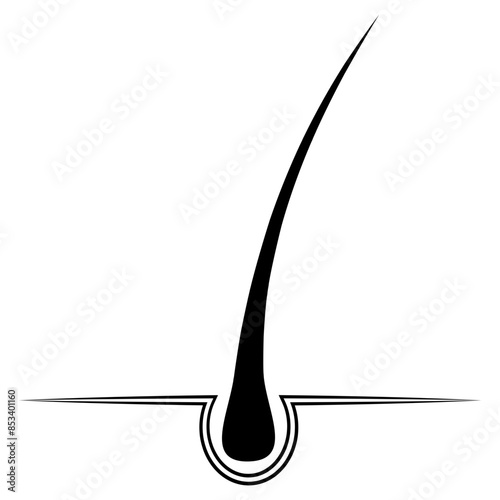 One Hair