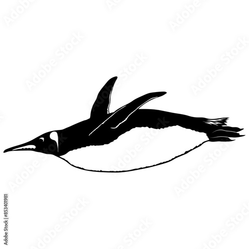Penguin Diving