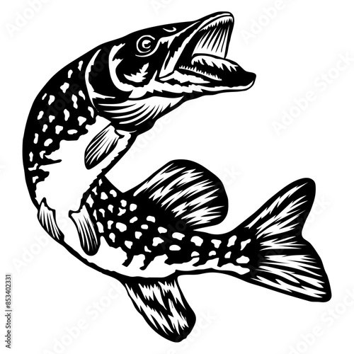 Pike Fish  Pike Fishing Fish Pike Fish
