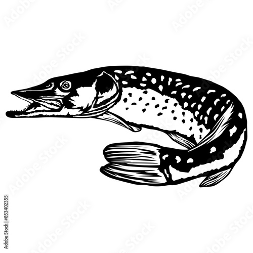 Pike Fish Pike Fishing Fish Pike Fish
