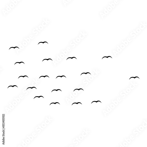 Sea Bird Flock