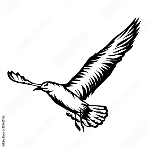 Seagull Design photo