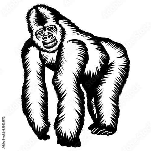 Silverback Gorilla