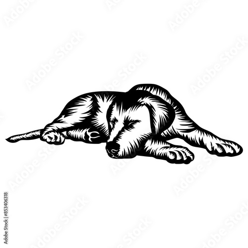 Sleeping Dog Labrador