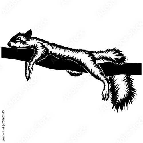 Sleeping Squirel