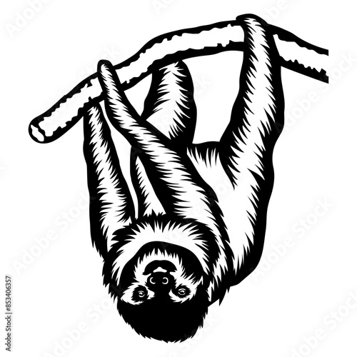 Sloth Hanging on A Tree Upside Down