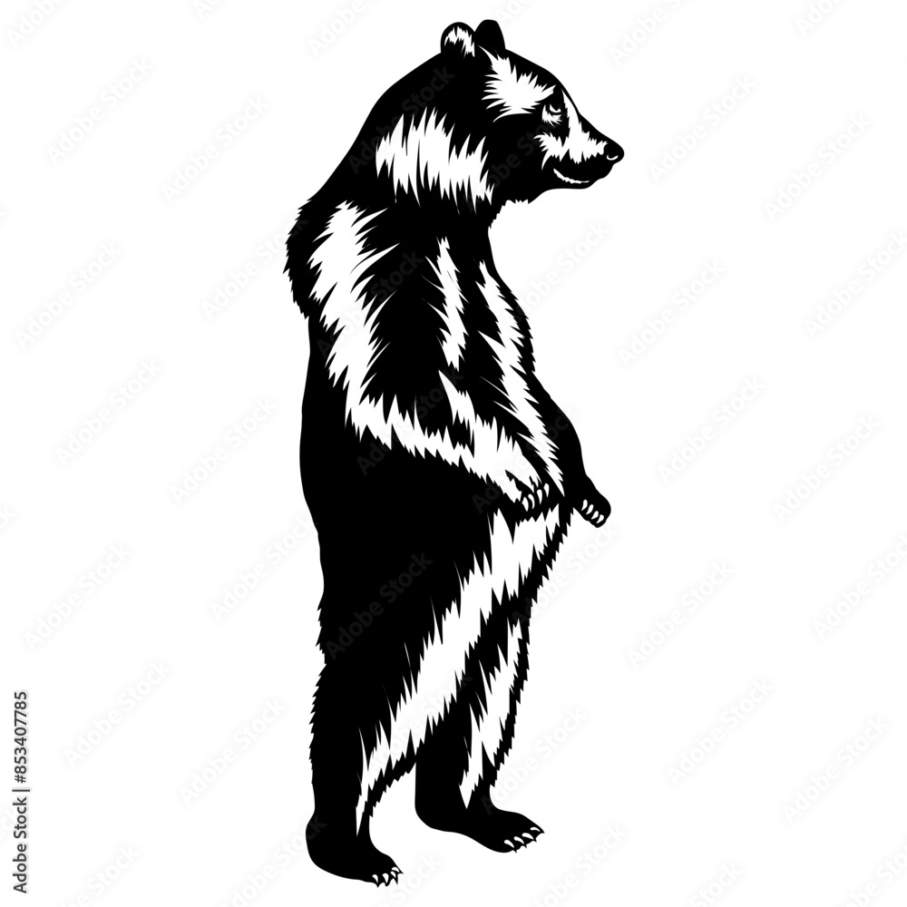 Standing Bear Funny Bear Funny Bear Bear Standing Bear Funny Bear Funny Bear Bear