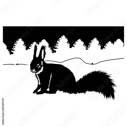 Squirrel In Snow Squirrel Forest Animals Squirrel