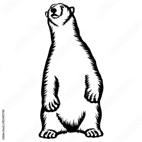 Standing Polar Bear on Feet