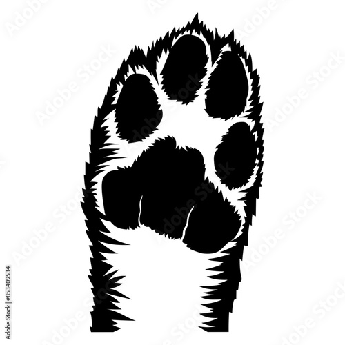 Tiger Paw Bottom