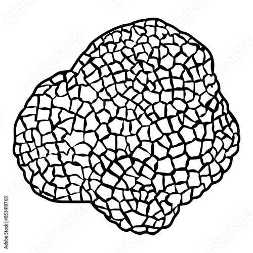 Truffle Outline