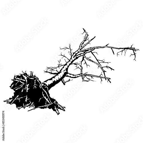 Wallpaper Mural Uprooted Tree Fallen Tree With Roots Tree Tree Torontodigital.ca