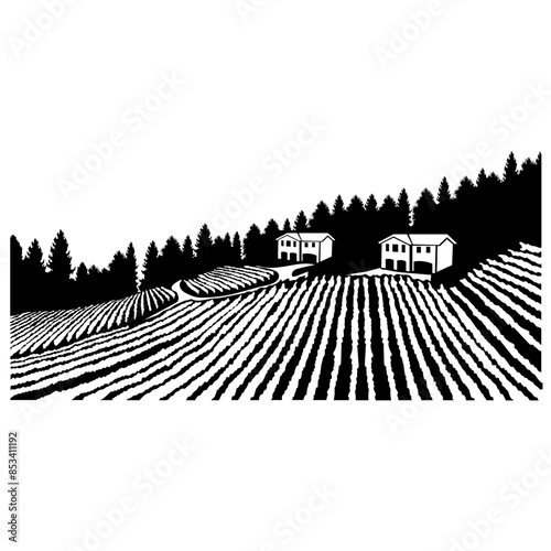 Vineyard Wine Making Vineyard Estate  Vineyard