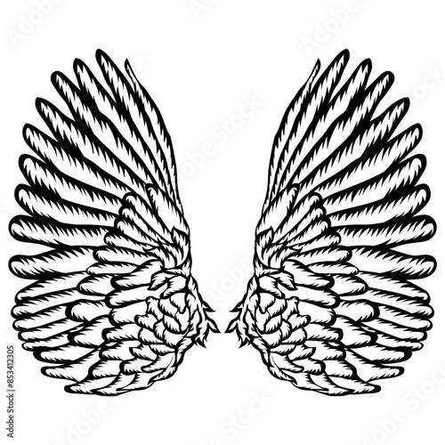 Wings Set