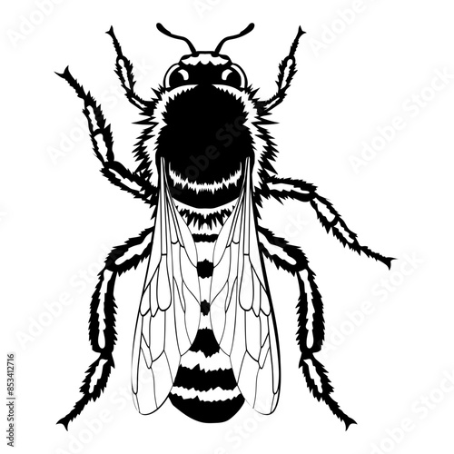Worker Bee Bee Honey Bee Bee