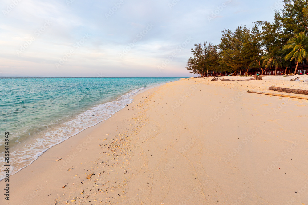 Beautiful remote tropical beach with white sand and sea shells in the blue and pink light of sunset Beautiful remote tropical beach with white sand and sea shells in the blue and pink light of sunset