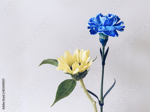 花,ひまわり,カーネーション,父の日