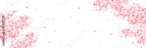 桜　春　ピンク　背景	