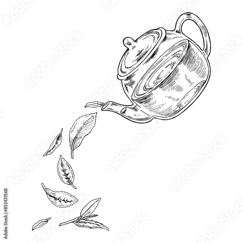 Tea leaves are pouring out of the Teapot. Vector hand drawn illustration. Glass pot sketch drawing. Black and white vintage art. Editable composition with backgrounds. For herbal drinks and cards